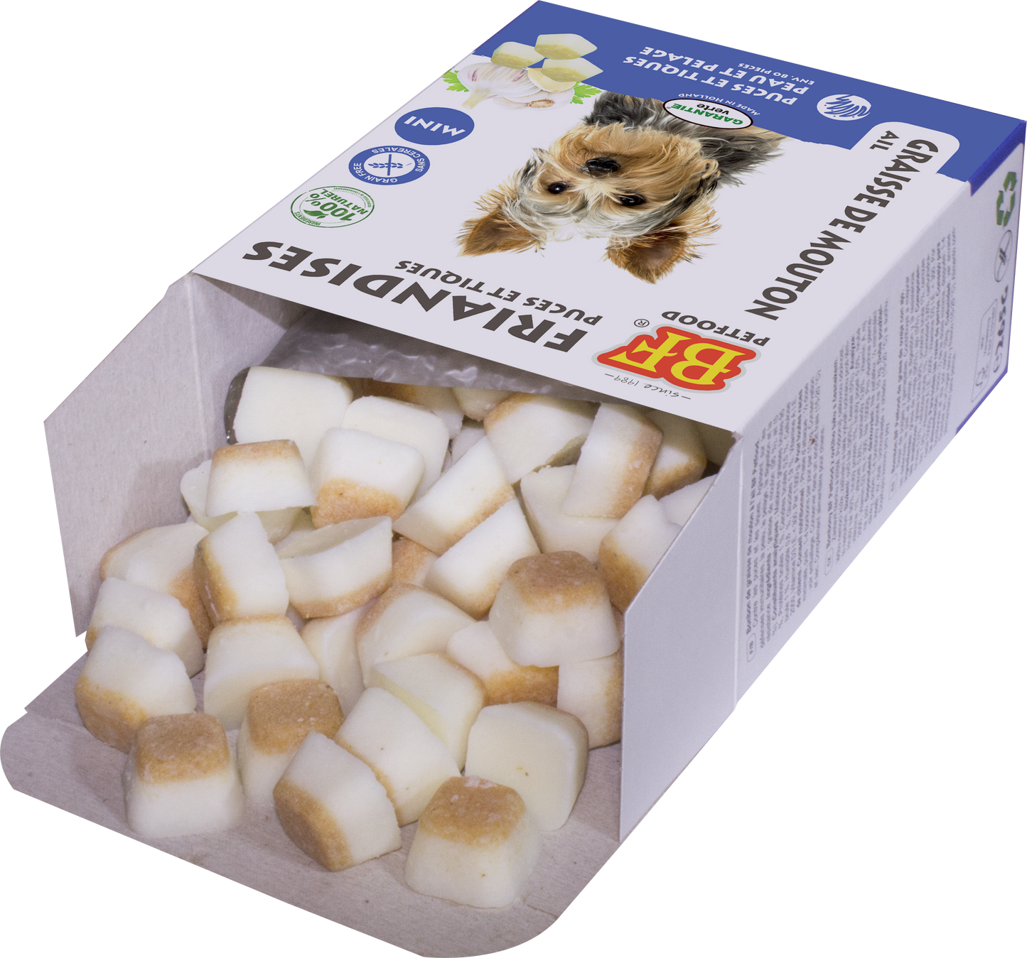Mini ail gras de mouton