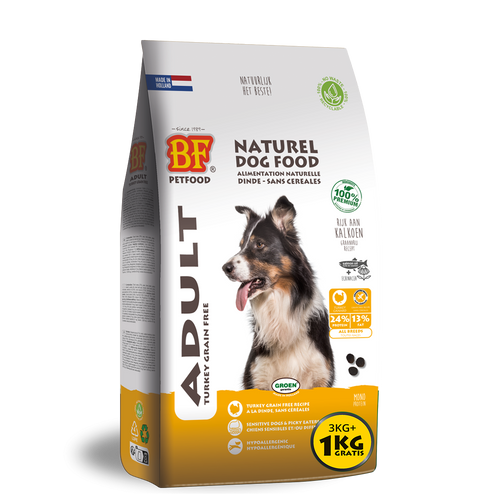 Dinde adulte