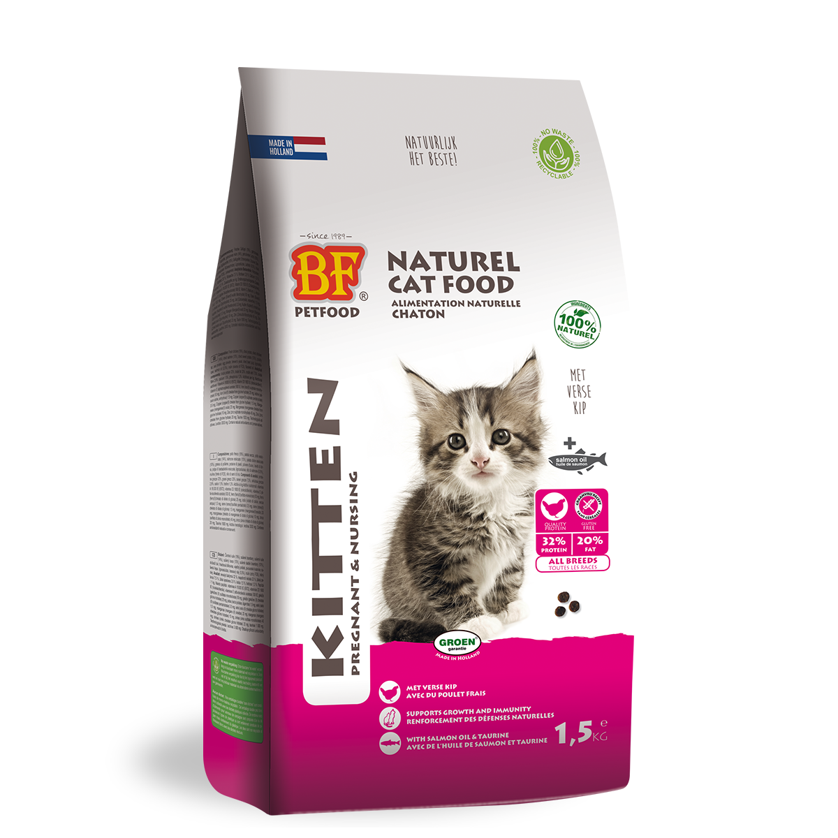 Chaton - Gestant/Allaitant