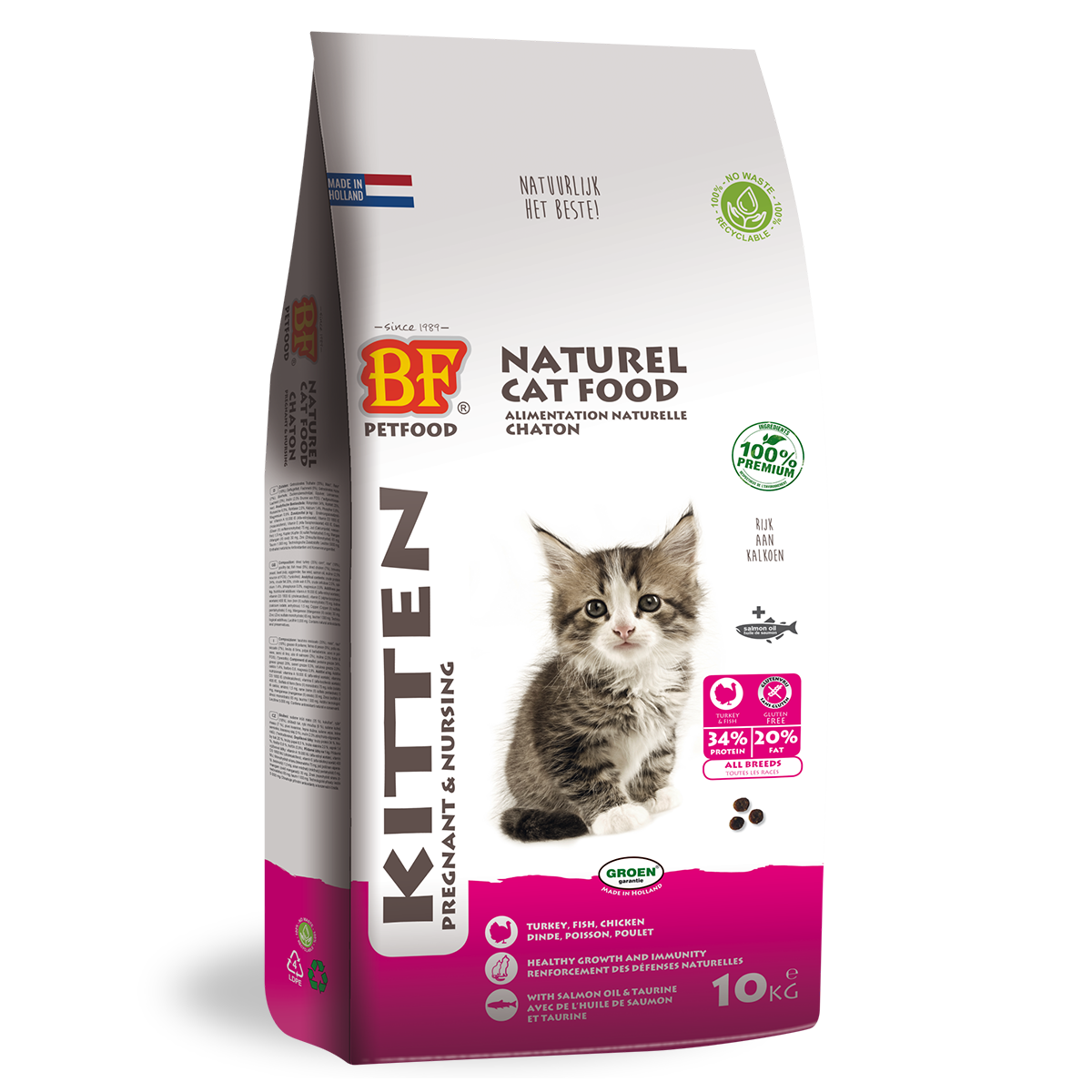 Chaton - Gestant/Allaitant