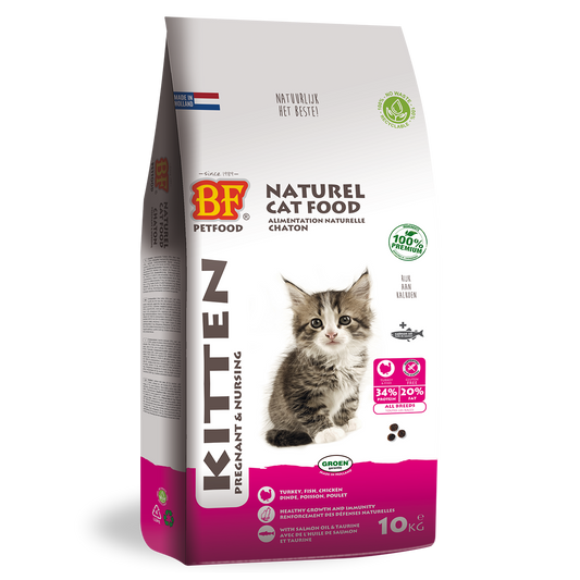 Chaton - Gestant/Allaitant