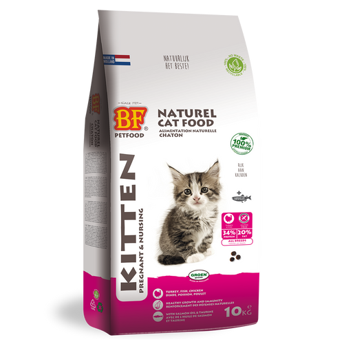 Chaton - Gestant/Allaitant