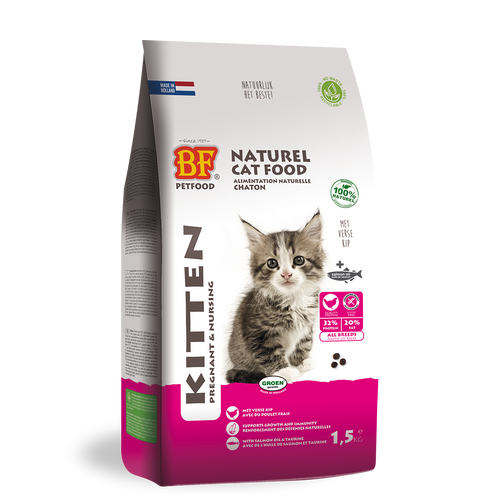 Chaton - Gestant/Allaitant