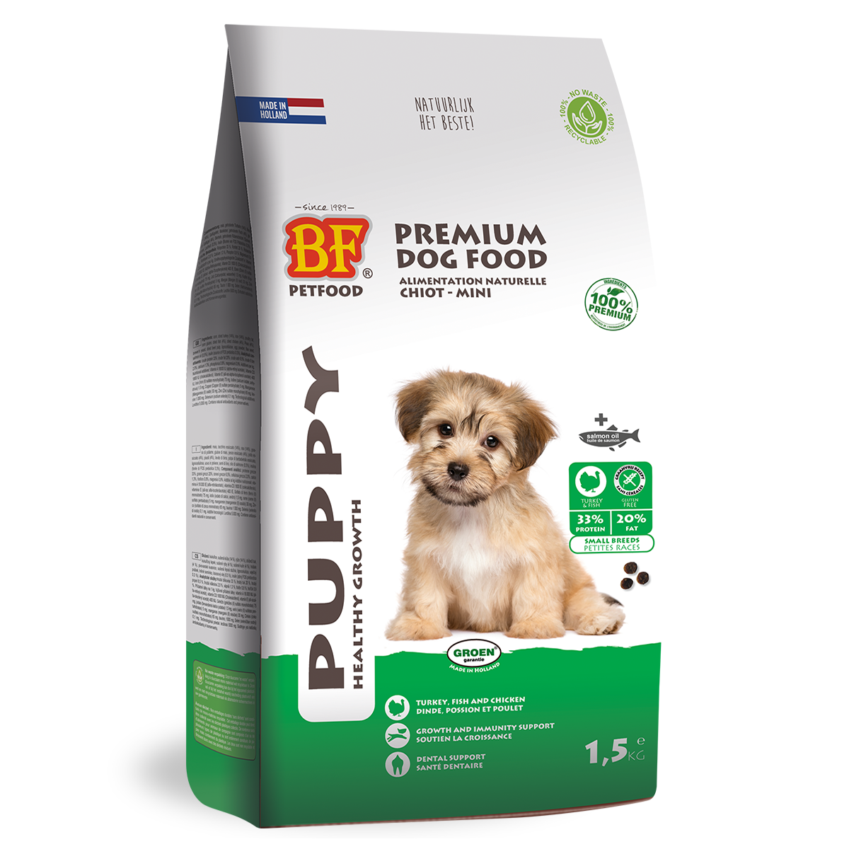 Chiot - Mini