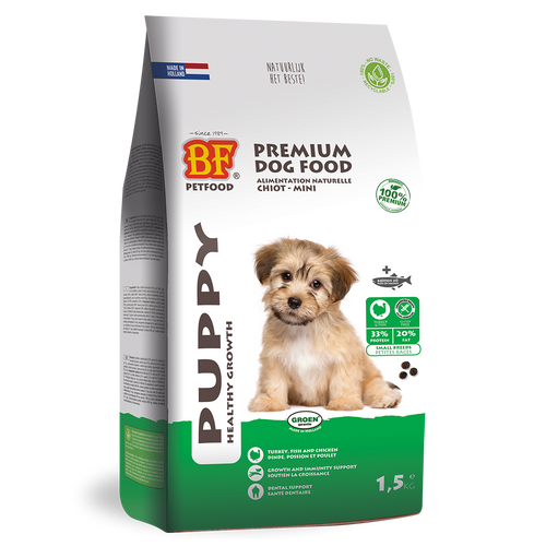 Chiot - Mini