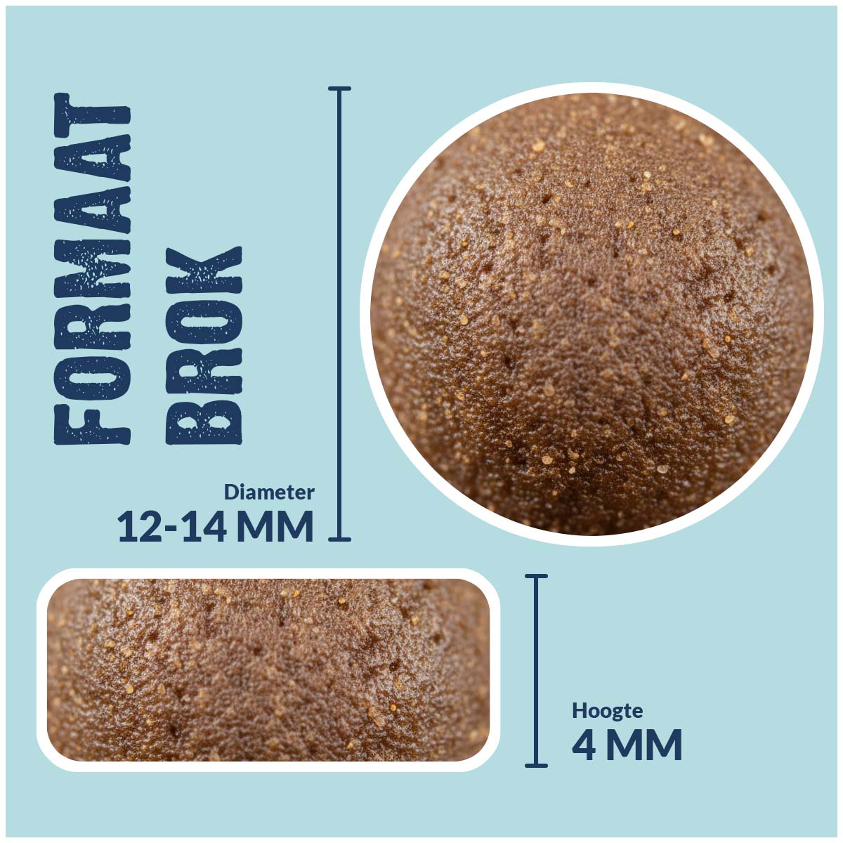 3-Mix Adulte Basique