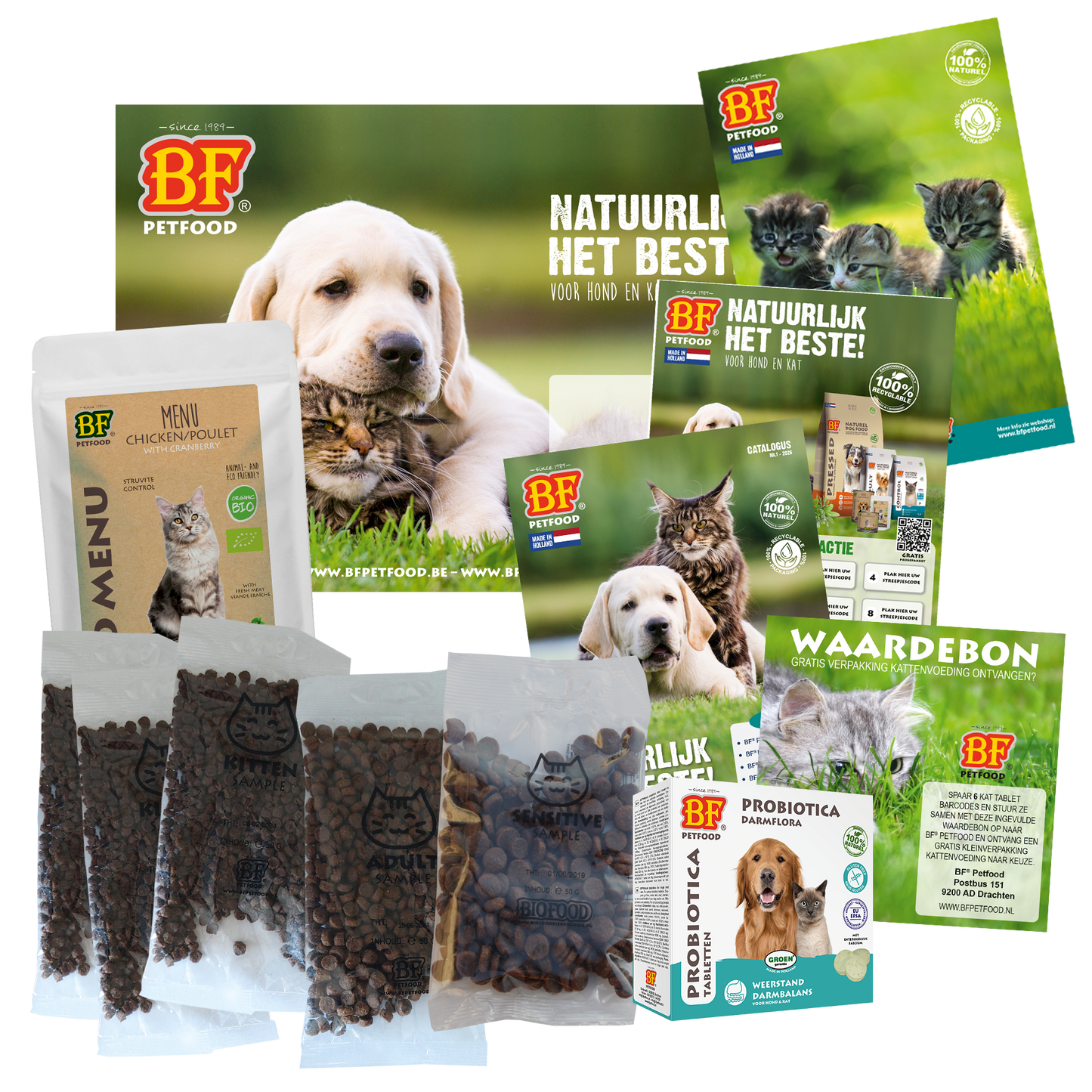 Kit pour chaton